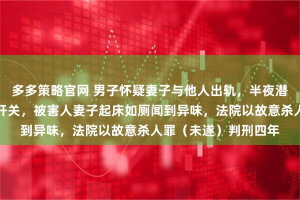 多多策略官网 男子怀疑妻子与他人出轨，半夜潜入拧开对方家液化气开关，被害人妻子起床如厕闻到异味，法院以故意杀人罪（未遂）判刑四年