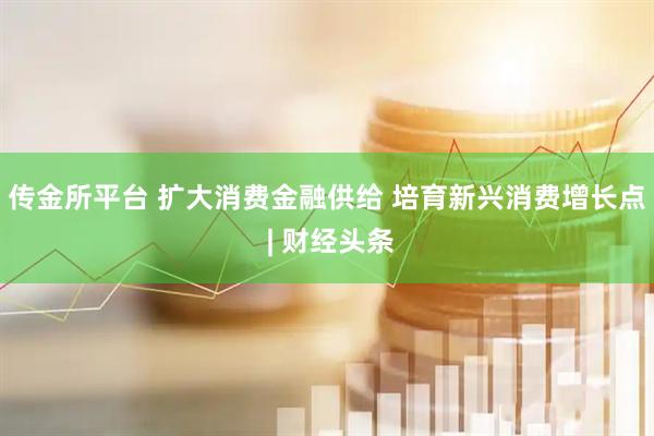 传金所平台 扩大消费金融供给 培育新兴消费增长点 | 财经头条