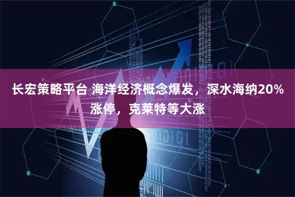长宏策略平台 海洋经济概念爆发，深水海纳20%涨停，克莱特等大涨