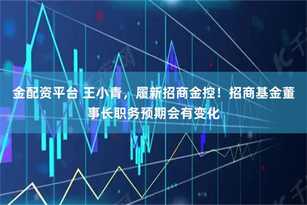 金配资平台 王小青，履新招商金控！招商基金董事长职务预期会有变化