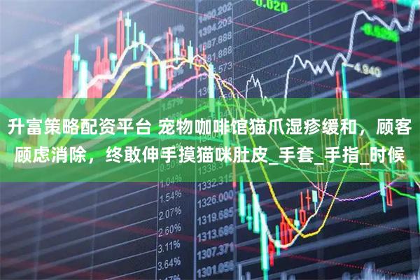 升富策略配资平台 宠物咖啡馆猫爪湿疹缓和，顾客顾虑消除，终敢伸手摸猫咪肚皮_手套_手指_时候