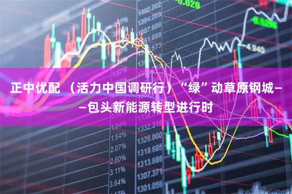 正中优配 （活力中国调研行）“绿”动草原钢城——包头新能源转型进行时
