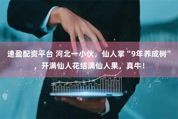 速盈配资平台 河北一小伙，仙人掌“9年养成树”，开满仙人花结满仙人果，真牛！