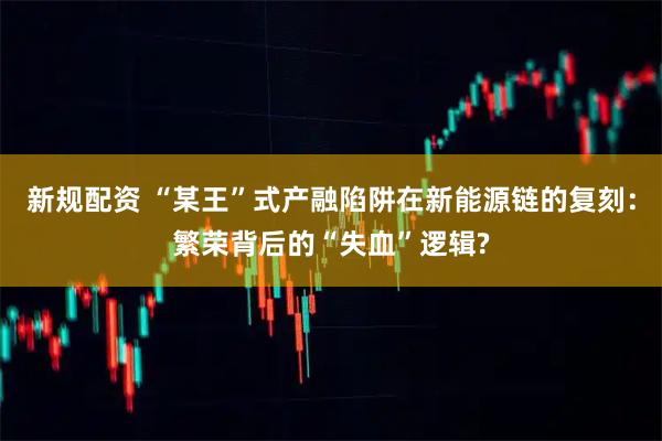 新规配资 “某王”式产融陷阱在新能源链的复刻：繁荣背后的“失血”逻辑?